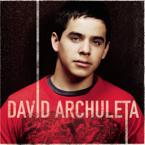 David Archuleta - A Little Too Not Over You