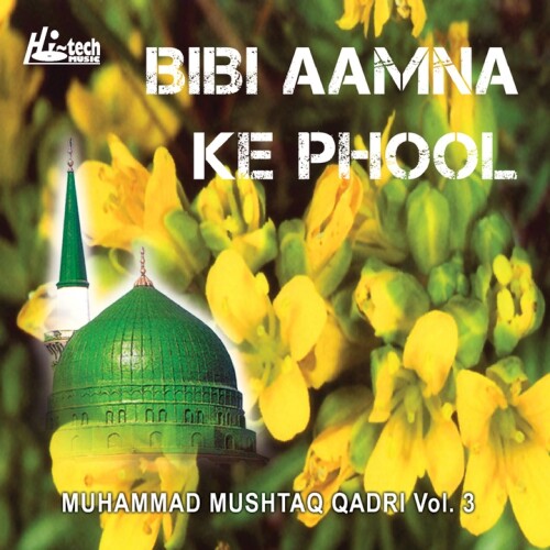 Muhammad Mushtaq Qadri - Mehboob Ki Mehfil Ko