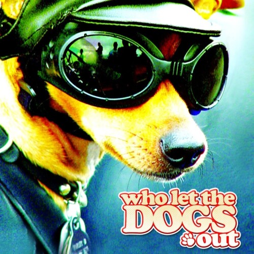 The Doggies - Who Let The Dogs Out - Original