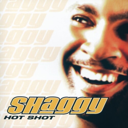 Shaggy - It Wasn't Me