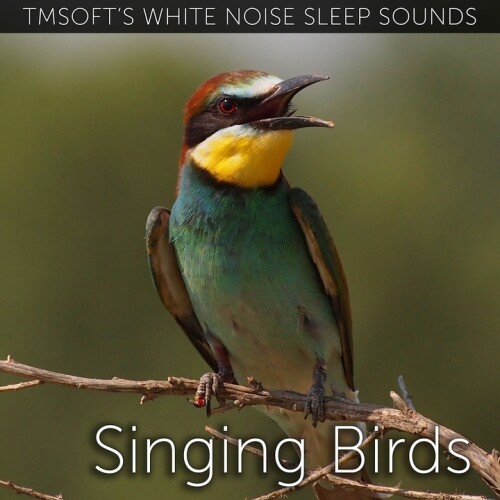 Tmsoft's White Noise Sleep Sounds - Singing Birds Sound