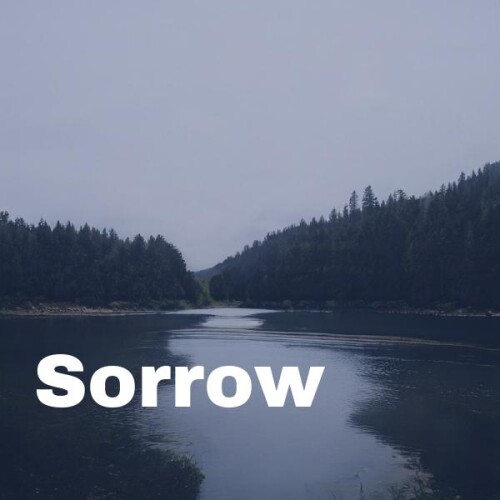 HomeMadeGarbage - Sad Scene BGM Piano Instrument(313618)