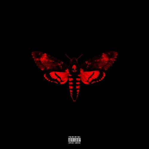 Lil Wayne - Love Me