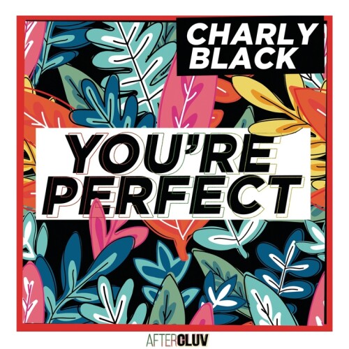 Charly Black - You're Perfect