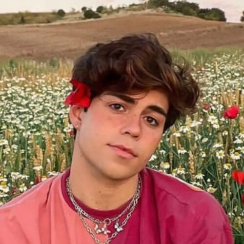 Benji Krol - original sound - benjikrol